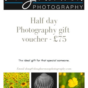 half day photo tuition voucher image